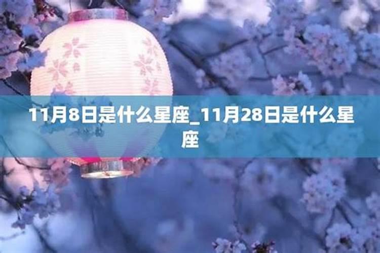 11月28份是什么星座女