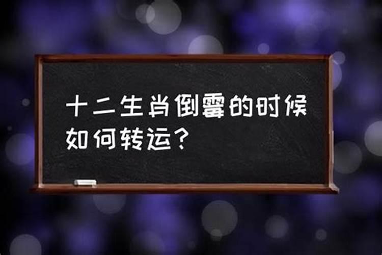 属鼠与属兔的人八字合不合婚姻