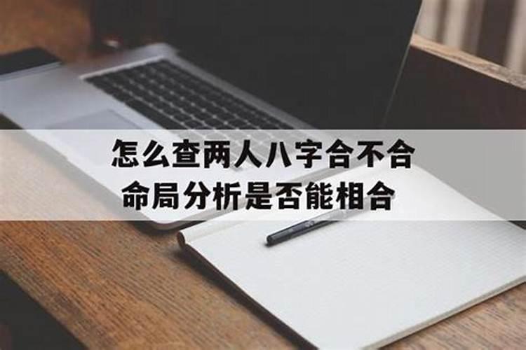 怎么查俩人的八字合不合