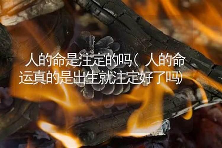 命运真的都是注定的吗