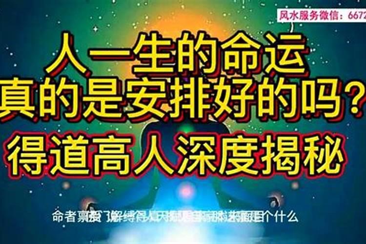 科学证明命运是注定的