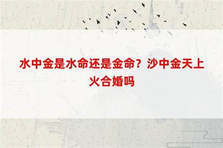 天蝎座运势2021年8月