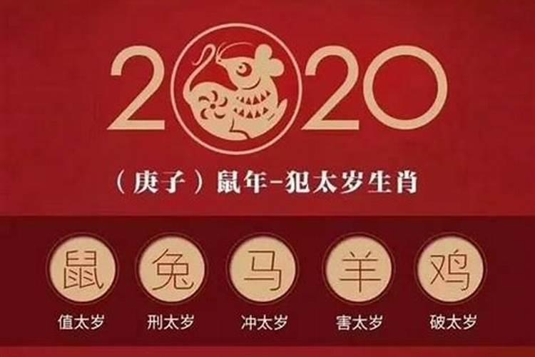 俪在五行中属什么