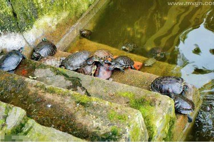 4楼的风水和什么属相相克