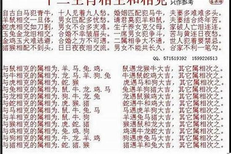 1982年出生属什么生肖