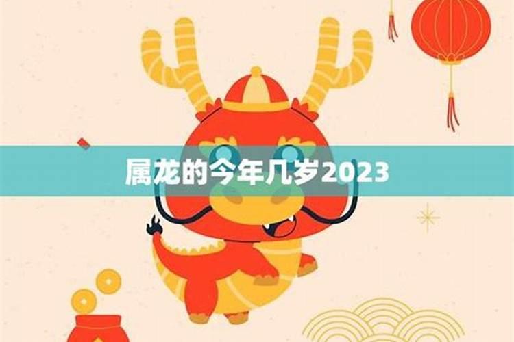 属龙的今年多少岁