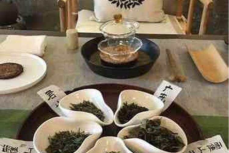 普洱茶五行属什么行业