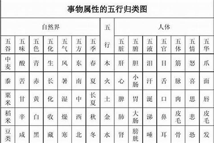 洱属于五行属什么