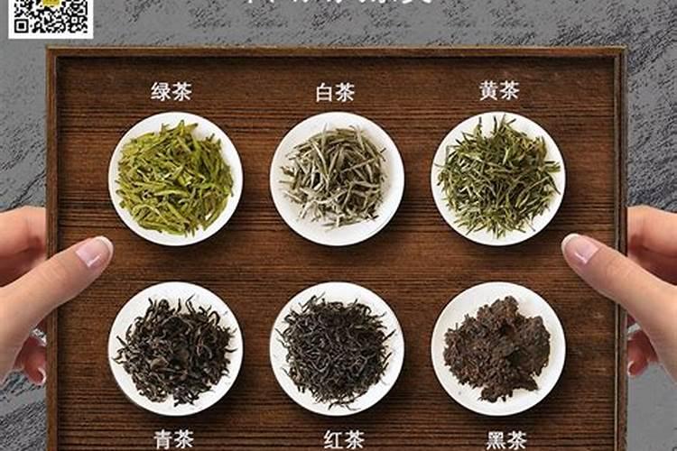 五行茶是什么茶