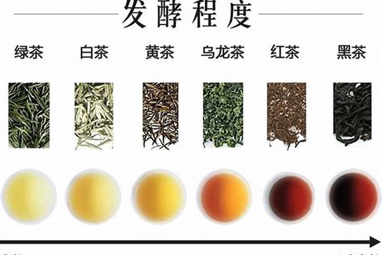 各种茶的五行属性