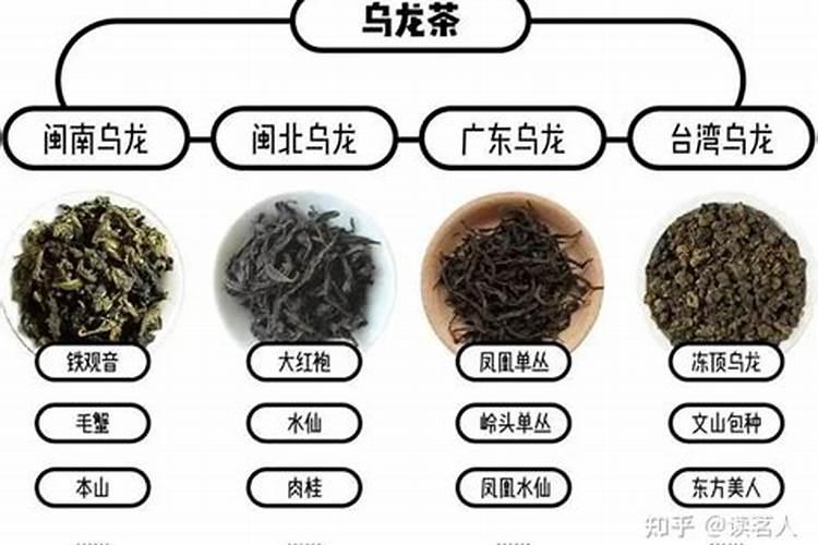 乌龙茶五行属什么行业