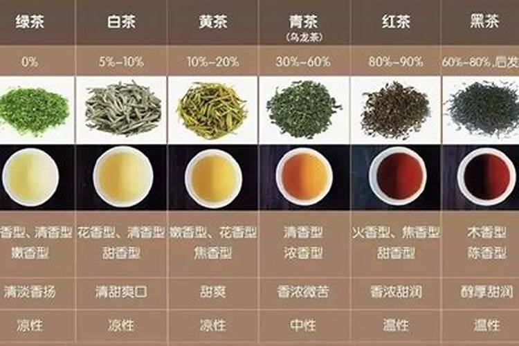 茶的五行分类及特点