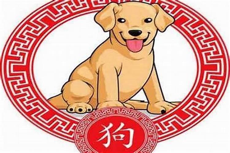 生肖属狗是哪一年的