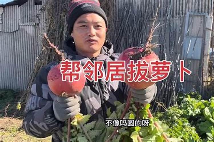 结婚伴郎伴娘的属相是什么生肖