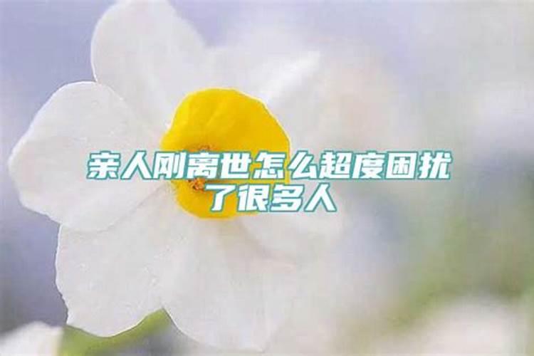 什么样的男人是烂桃花呢