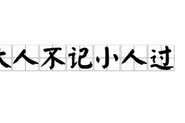 大人不见小人过打一个生肖