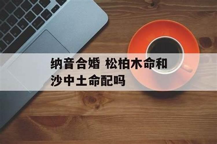 属兔的不易生什么属相的孩子