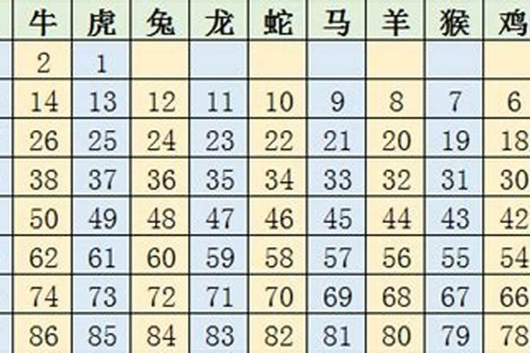 十二生肖岁数年龄表2023图