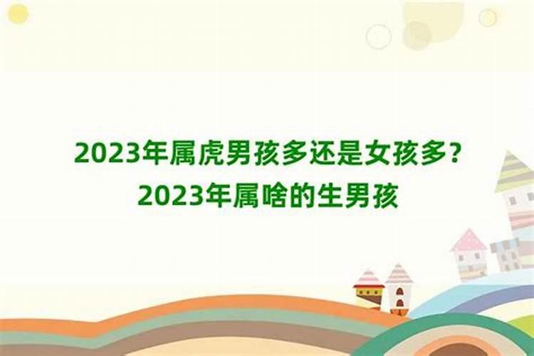 属虎在2022年本命年生男孩还是生女孩多