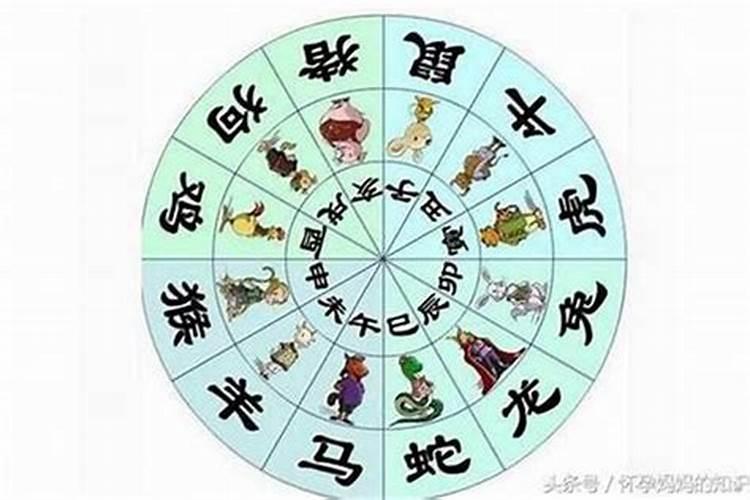 生肖属兔取什么名字好听