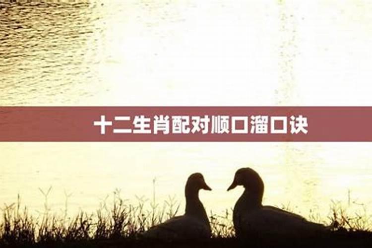 99属兔哪一年会动婚