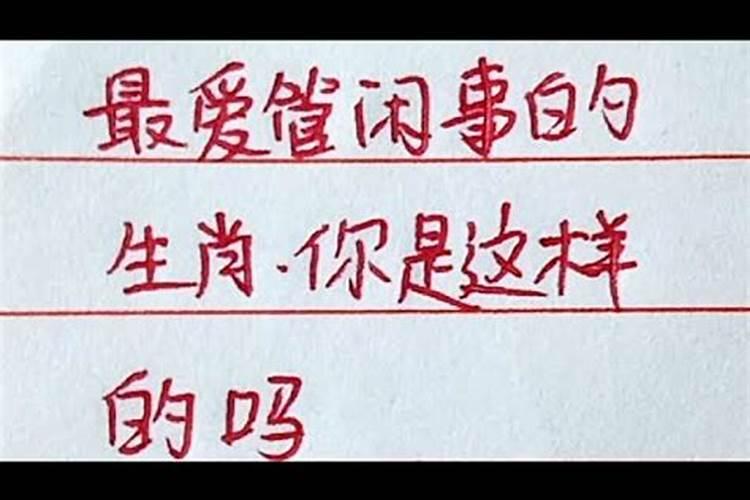 管闲事的生肖