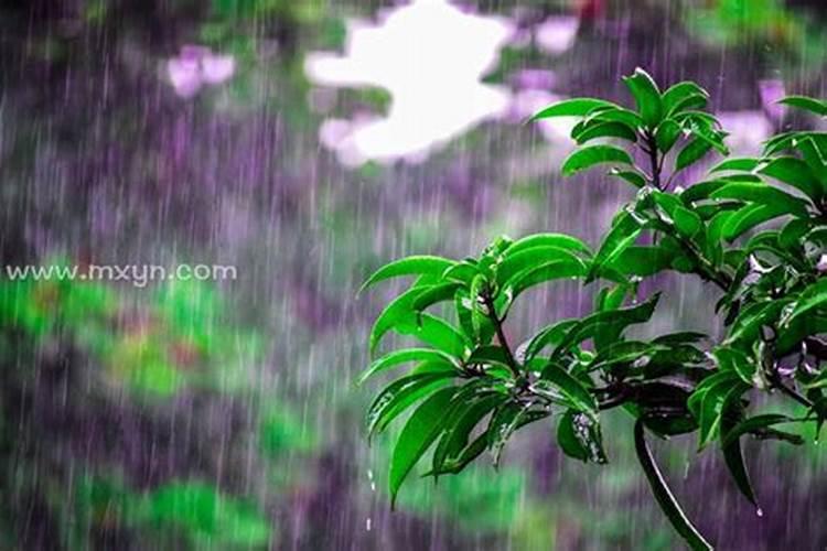 梦见下大雨