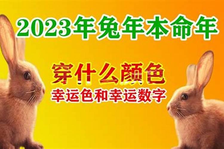 2023属兔的72岁本命年好吗