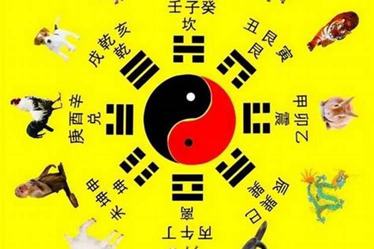 离字五行属什么生肖