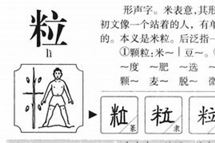 粒字五行属什么取名吉吗