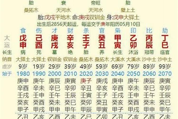 万年历1981年什么时候立春