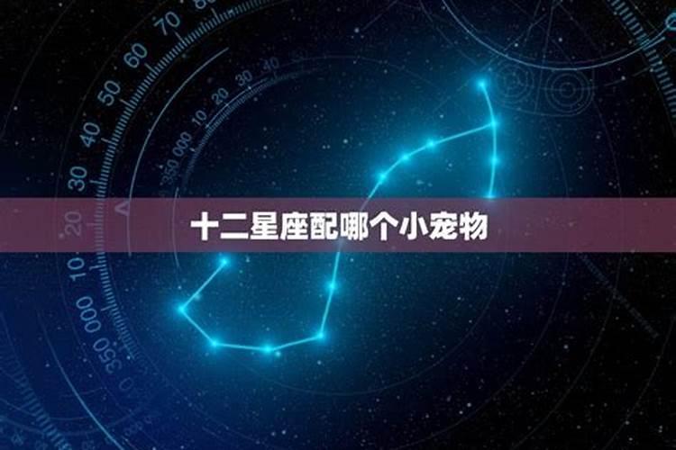 十二星座谁的房子最漂亮