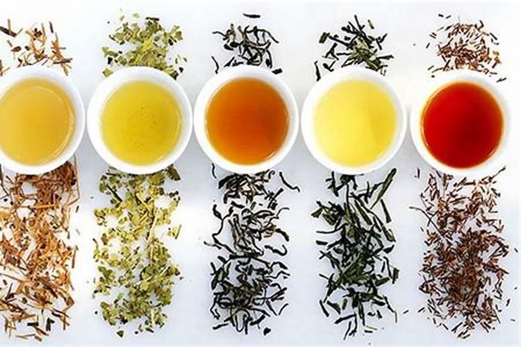 茶属于什么五行类型