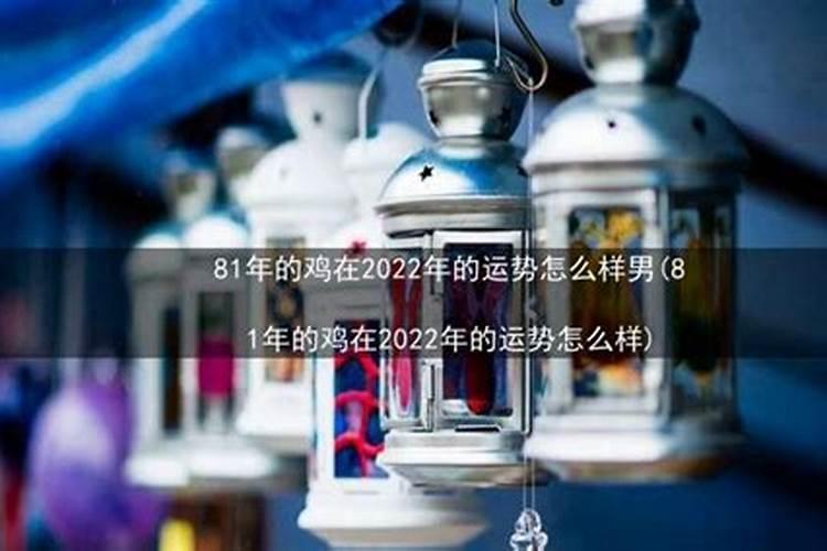 81年属鸡的2024年运势和财运怎么样