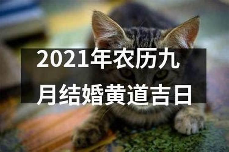 2021年结婚黄道吉日9月份