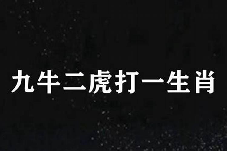 野外大战打一动物生肖