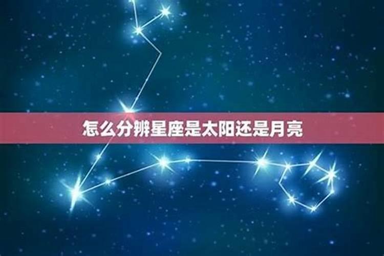 狮子座太阳星座和月亮星座