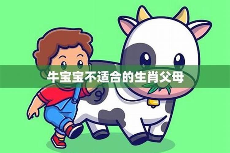 牛宝宝不适合什么生肖的父母