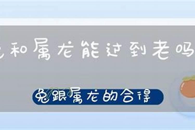 算一算八字属龙的跟属兔的合不合