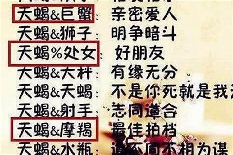 天蝎男事业和女人哪个重要一点