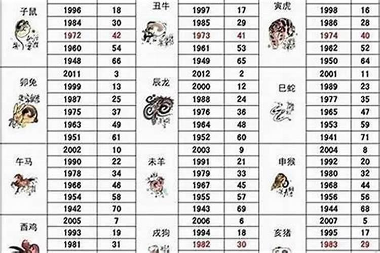 96年狗和什么属相最配