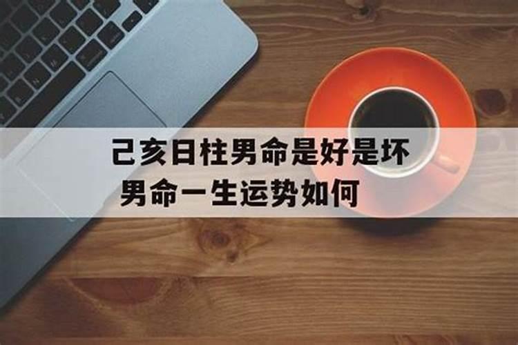 梦见蛇是什么预兆吗