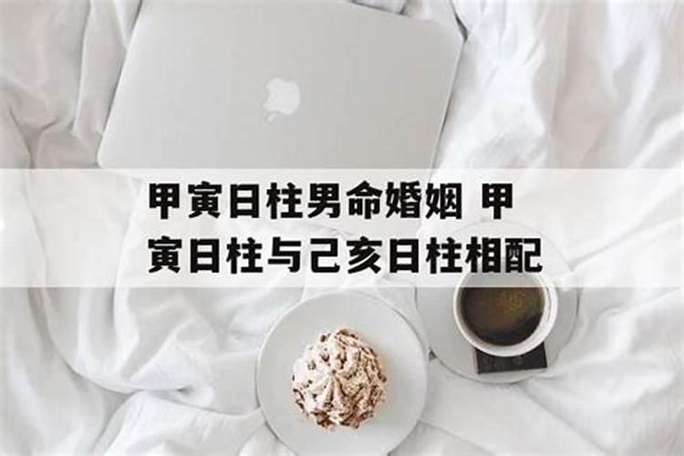 梦见蛇是什么预兆吗