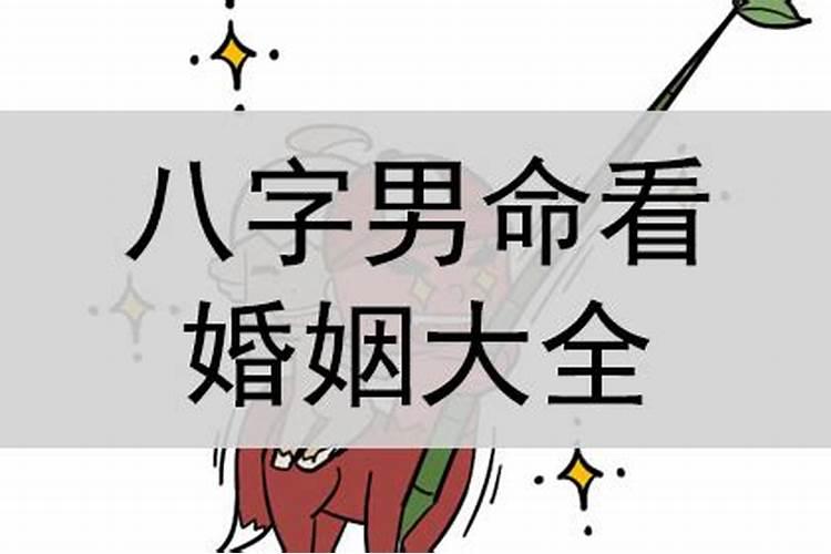 日柱辛亥男命看婚姻