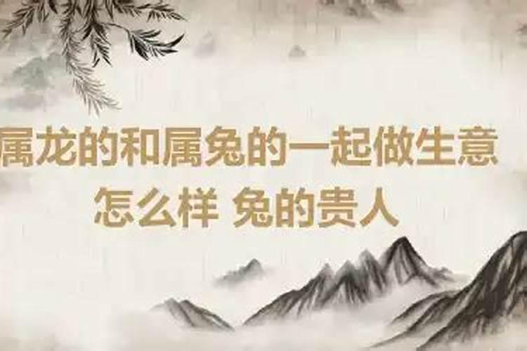 属龙的和属兔的为什么不能在一起做生意