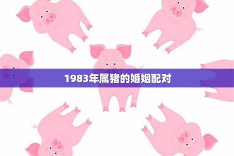 1983年属猪的女最适合的对象