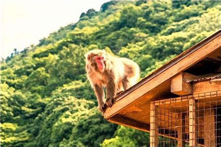 中元节祭祀点