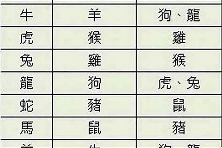 属猪和猴八字合不合