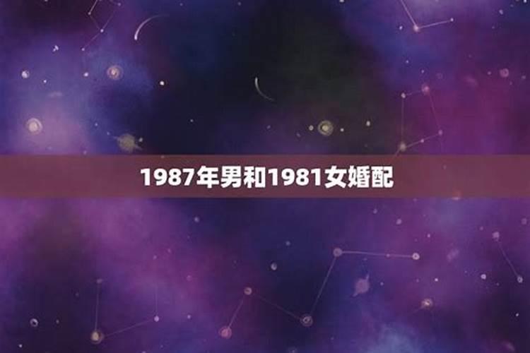 87年属兔与81年属鸡