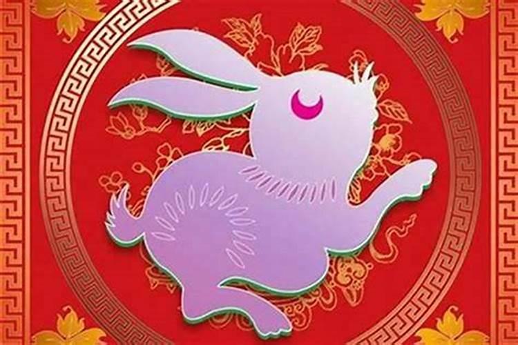 兔年今年婚姻命运